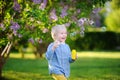 Cute little boy blowing soap bubbles in beautiful summer park Royalty Free Stock Photo