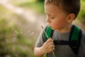 Cute little boy blowing a white dandelion in the garden Royalty Free Stock Photo