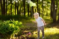 Cute little boy catches butterflies with scoop-net on sunny meadow.Study of nature. Young naturalist Royalty Free Stock Photo