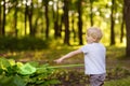 Cute little boy catches butterflies with scoop-net on sunny meadow.Study of nature. Young naturalist Royalty Free Stock Photo