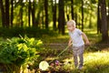 Cute little boy catches butterflies with scoop-net on sunny meadow.Study of nature. Young researcher Royalty Free Stock Photo