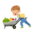 Cute little boy character pushing wheelbarrow full of vegetables vector Illustration on a white background Royalty Free Stock Photo