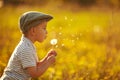 Cute little boy with dandelions Royalty Free Stock Photo