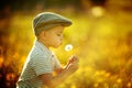 Cute little boy with dandelions Royalty Free Stock Photo