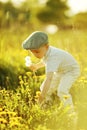 Cute little boy with dandelions Royalty Free Stock Photo