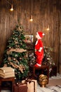 Cute little boy decorating christmas tree. Young kid in light bedroom with winter decoration. Happy family at home. Christmas New Royalty Free Stock Photo