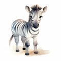 Cute Little Boy Drawing Of A Zebra In Realistic Watercolors