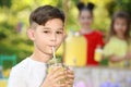 Cute little boy drinking natural lemonade in park, space for text. Summer Royalty Free Stock Photo