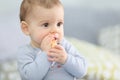 Cute little boy eating biscuit Royalty Free Stock Photo