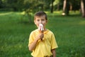 Cute little boy eating ice cream in park on summer day Royalty Free Stock Photo