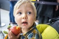 Cute, little boy eating red apple in his pushchair. Healthy snack during walk Royalty Free Stock Photo