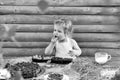 Cute little boy eats berries Royalty Free Stock Photo