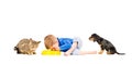 Cute little boy eats with cat and dog Royalty Free Stock Photo