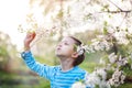 Cute little boy enjoy blooming tree with white flowers in spring warm day Royalty Free Stock Photo