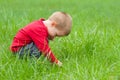 Cute little boy exploring the nature Royalty Free Stock Photo