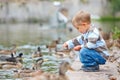 Cute little boy feeding ducks Royalty Free Stock Photo