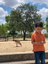 cute little boy is feeding the ducks Royalty Free Stock Photo