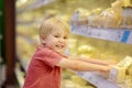 Cute little boy in a food store or a supermarket choosing cheese and butter, fresh dairy. Healthy lifestyle for family with kids