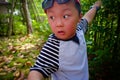 Little boy gathering harvest mulberry berries Royalty Free Stock Photo