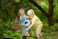 Cute little boy and girl watering plants in the garden at summer sunny day. Mommy little helpers Royalty Free Stock Photo