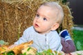 Cute little boy having enjoying countryside in autumn garden around fall leaves. A nine-month-old boy with blond hair and blue