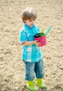 Cute little boy having fun at countryside. Child farmer working in field. Happy childhood concept. Son planting flowers Royalty Free Stock Photo