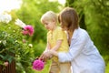 Cute little boy with his young mother working together with secateur in domestic garden. Floriculture, gardening, small business.