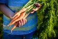 Cute little boy holding a bunch of fresh organic carrots in domestic garden. Healthy family lifestyle Royalty Free Stock Photo