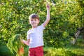 Cute little boy holding a bunch of fresh organic carrots in domestic garden. Healthy family lifestyle. Harvest time Royalty Free Stock Photo