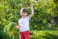 Cute little boy holding a bunch of fresh organic carrots in domestic garden. Healthy family lifestyle. Harvest time Royalty Free Stock Photo