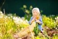 Cute little boy holding a bunch of fresh organic carrots in domestic garden Royalty Free Stock Photo