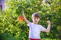 Cute little boy holding a bunch of fresh organic carrots in domestic garden. Healthy family lifestyle. Harvest time Royalty Free Stock Photo