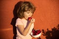 Cute little boy holding a strawberry. Happy child eats strawberries. Royalty Free Stock Photo