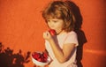 Cute little boy holding a strawberry. Happy child eats strawberries. Royalty Free Stock Photo