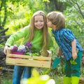 Cute little boy kiss smiling girl in her cheek. Happy kids work, plant and water in green spring garden. Eco garden