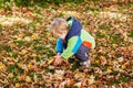 Cute little boy playing with maple leaves outdoors. Happy child walking in autumn park. Toddler baby boy wears trendy Royalty Free Stock Photo