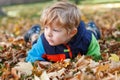 Cute little boy playing with maple leaves outdoors. Happy child walking in autumn park. Toddler baby boy wears trendy Royalty Free Stock Photo