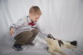 Cute little boy playing with a white and black cat in photo studio with white fabric background. Concept of friendship