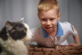 Cute little boy playing with a white and black cat in photo studio with white fabric background. Concept of friendship