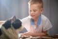 Cute little boy playing with a white and black cat in photo studio with white fabric background. Concept of friendship