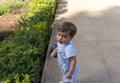 A cute little boy plays placidly in a garden Royalty Free Stock Photo