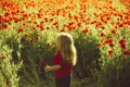 Cute little boy on poppy field in hot summers Royalty Free Stock Photo