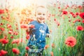 Cute little boy in a poppy field Royalty Free Stock Photo