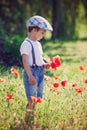 Cute little boy with poppy flower on poppy field Royalty Free Stock Photo