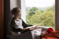 Cute little boy reading book Royalty Free Stock Photo