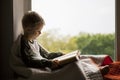 Cute little boy reading book Royalty Free Stock Photo