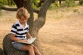 Cute little boy reading book on tree in park Royalty Free Stock Photo