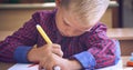 Cute little boy in a red checkered shirt and draws with a felt-tip pen in a school notebook. Royalty Free Stock Photo