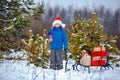 Cute little boy in Santa hat carries a wooden sled with gifts in snowy forest