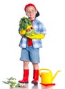 Cute little boy with scoop, fresh organic vegetables and watering can Royalty Free Stock Photo